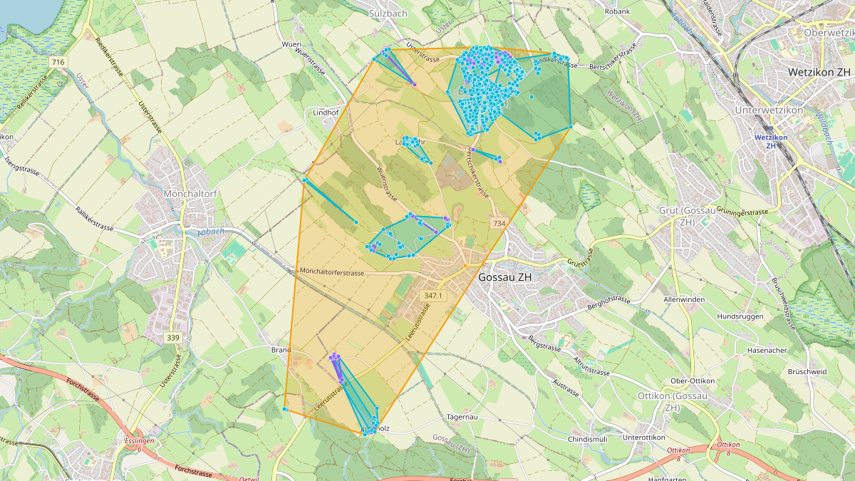 LEG Gossau (ZH) – Netzgebiet 2