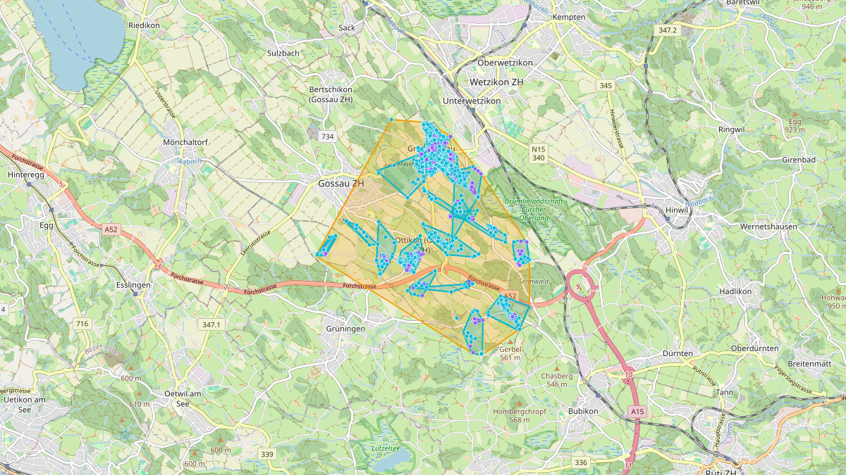 LEG Gossau (ZH) – Netzgebiet 1