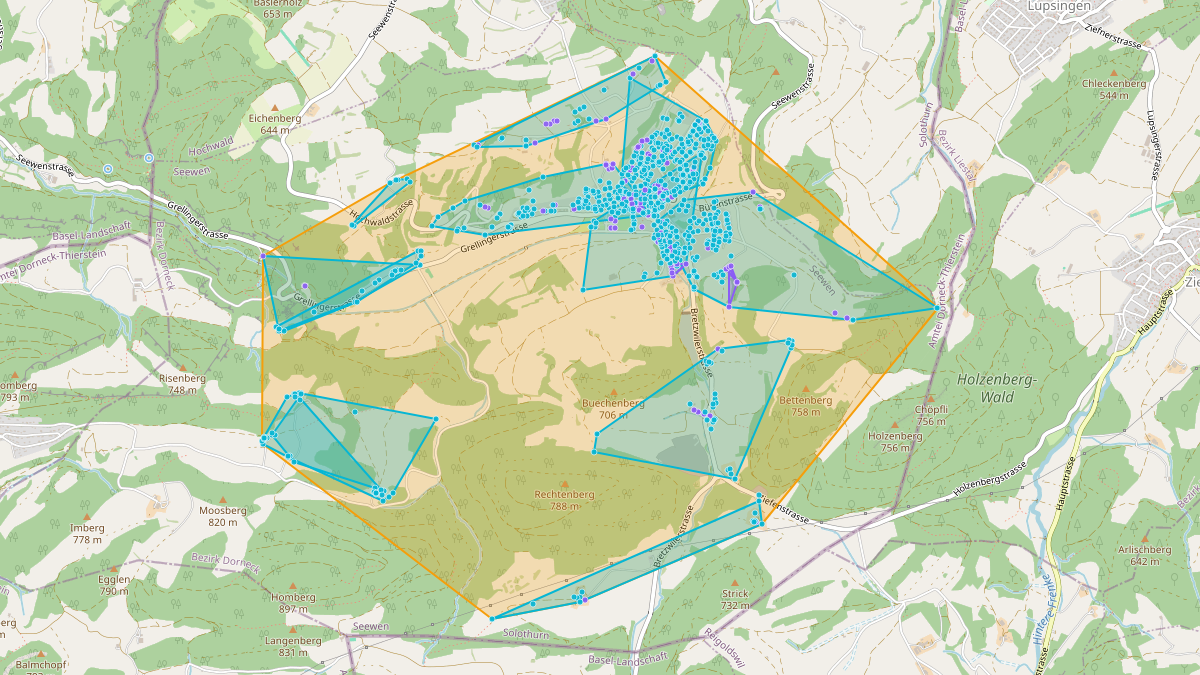 LEG Seewen (SO) – Netzgebiet 1