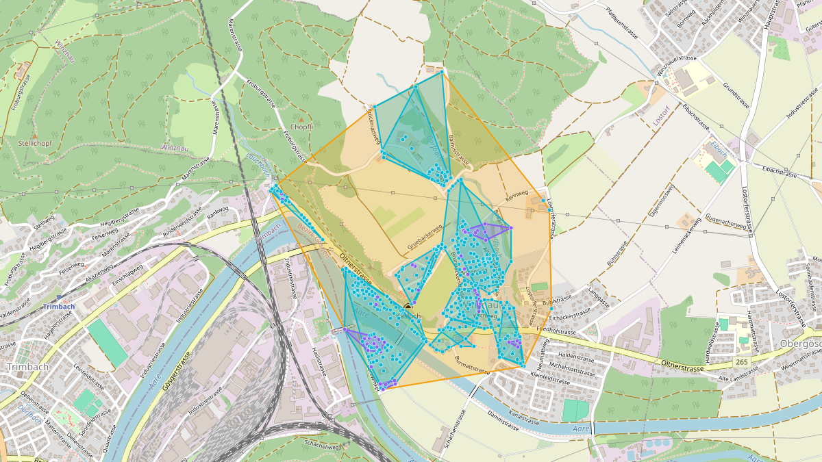LEG Winznau (SO) – Netzgebiet 1