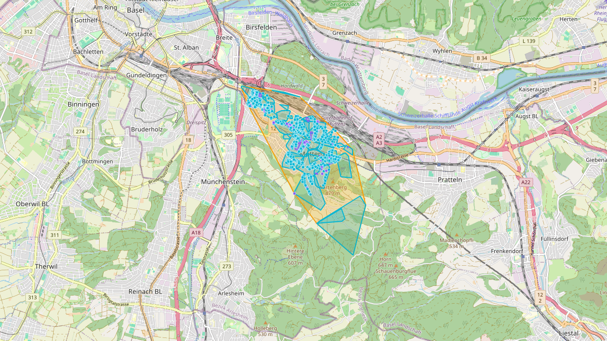 LEG Muttenz (BL) – Netzgebiet 1