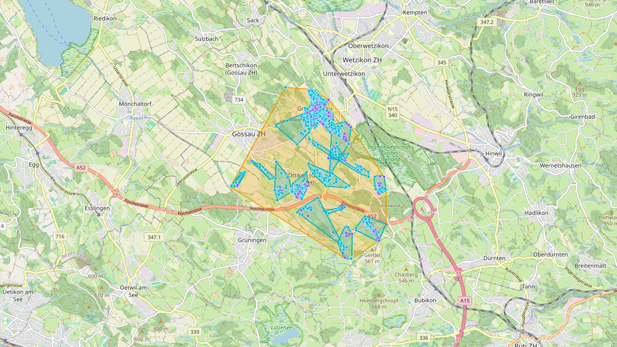 LEG Gossau (ZH) – Netzgebiet 1