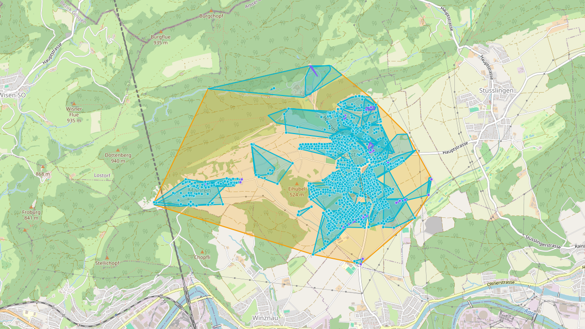 LEG Lostorf (SO) – Netzgebiet 1