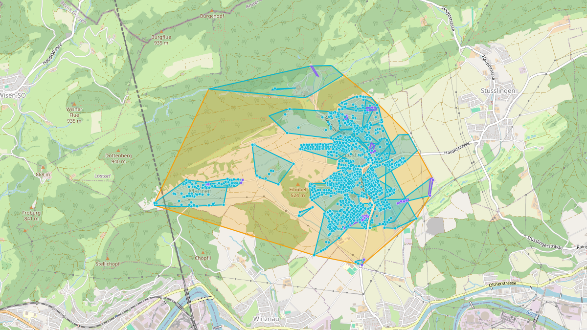 LEG Lostorf (SO) – Netzgebiet 1